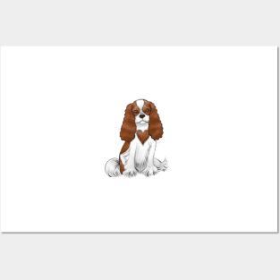 Cavalier King Charles Spaniel - Blenheim with a heart marking Posters and Art